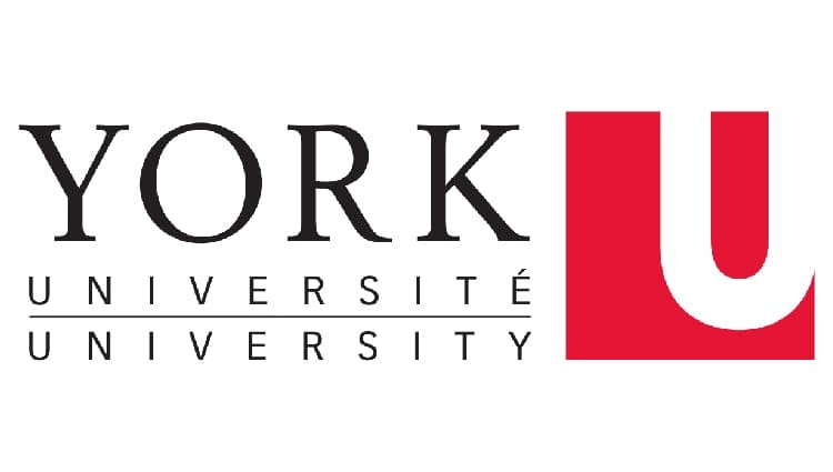 York University